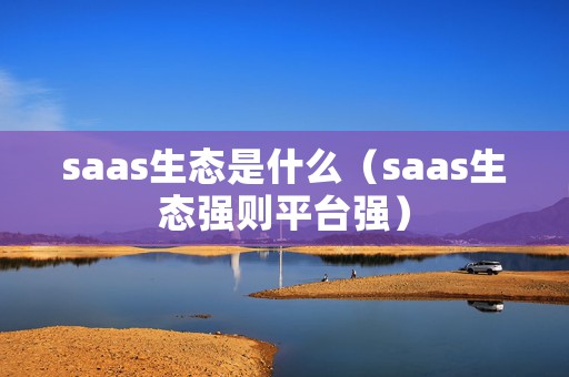 saas生态是什么（saas生态强则平台强）