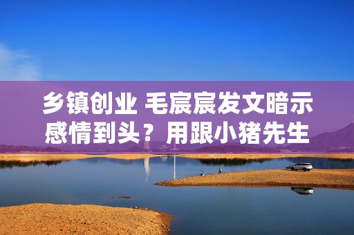 乡镇创业 毛宸宸发文暗示感情到头？用跟小猪先生同款分手文案，什么情况