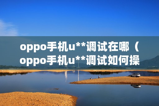 oppo手机u**调试在哪（oppo手机u**调试如何操作）