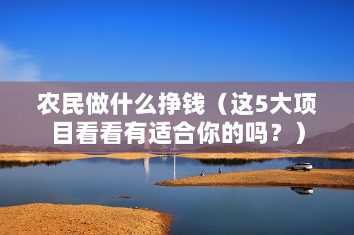 农民做什么挣钱（这5大项目看看有适合你的吗？）