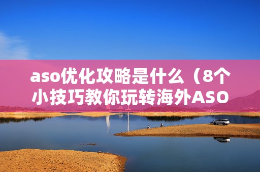 aso优化攻略是什么（8个小技巧教你玩转海外ASO优化）