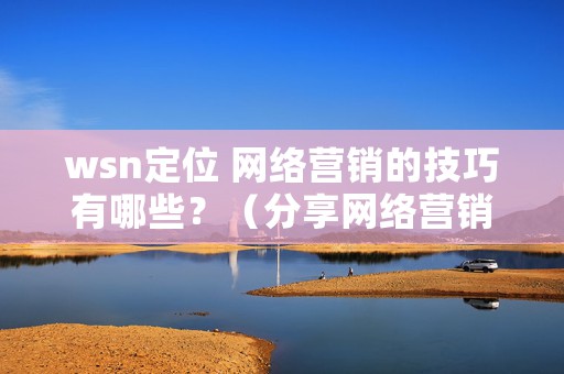 wsn定位 网络营销的技巧有哪些？（分享网络营销的7个技巧）