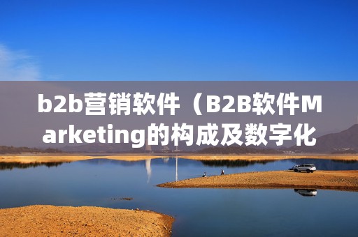 b2b营销软件（B2B软件Marketing的构成及数字化痛点）