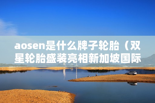 aosen是什么牌子轮胎（双星轮胎盛装亮相新加坡国际会展中心）